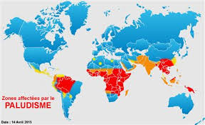 Le paludisme, maladie provoquée par une infection du sang par un parasite microscopique (plasmodium), est transmis dans notre région par anopheles. Prevention Du Paludisme Definition Docteurclic Com