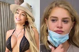 Incredible moment fearless pilot makes emergency landing