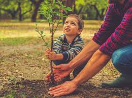 Pakistan is set to be the global host for this year's world environment day. World Nature Conservation Day 2020 Here S How You Can Make A Difference Business Standard News