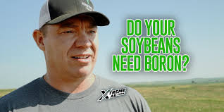Do Your Soybeans lack boron?