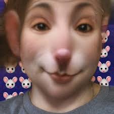 vicky kaplan (@bipolarbear95) • Instagram photos and videos