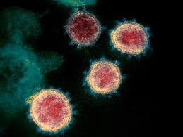 However, two more people have died of the illness in the past two days. B C Reports Over 464 New Covid 19 Cases Friday 275 In Interior Health Radio Nl Kamloops News
