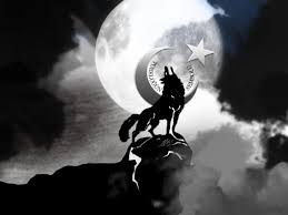 Siyah Beyaz Kurt Resmi Telefon Duvar Kagidi 1600x1200 Download Hd Wallpaper Wallpapertip Maybe the wolf is in love with the moon, and each month it cries for a love it will never touch. siyah beyaz kurt resmi telefon duvar