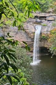 Seeing wild elephants in khao yai national park in northeastern thailand was one of the highlights of our last 18 months living in bangkok. 28 Khao Yai National Park Ideas Khao Yai National Park Khao Yai Thailand