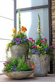 Container Gardens Urban Garden Design Plants Garden Containers