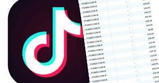 Mum S Desperate Warning After 11 Year Old Daughter Racks Up 3 500 Bill On Tiktok Cambridgeshire Live The platform offers a home for creative expression where users can enjoy an eclectic. on tiktok