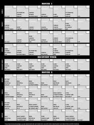 Insanity Workout Schedule Shaun T Insanity Workout The
