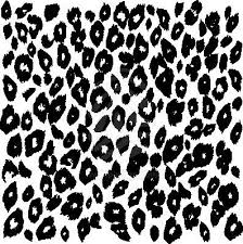 Black And White Cow Print Background Leopard Print Background Black White Leopard Print Wallpaper Leopard Print Background Animal Fashion
