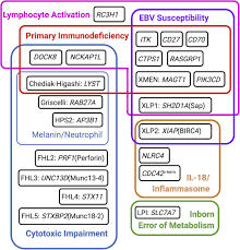 Check spelling or type a new query. Highways To Hell Mechanism Based Management Of Cytokine Storm Syndromes Sciencedirect