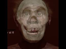 Heidelbergensis, but towards the end of the century, it was more widely classified as its own species. Aging Turkana Boy Youtube