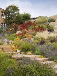 Image Result For Plants For Steep Slopes Australia Landscape Projects Hillside Landscaping Landscape Design