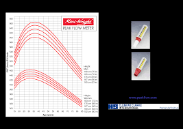 peak expiratory flow chart templates at