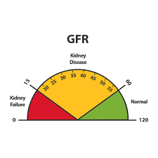 Kidney disease can affect the ways kidneys function and prevent Chronic Kidney Disease Ckd Niddk