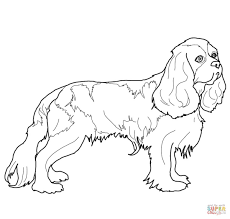 Dog coloring pages are a fun way for kids of all ages, adults to develop creativity, concentration, fine motor skills, and color recognition. Cavalier King Charles Spaniel Dog Coloring Page King Charles Dog King Spaniel