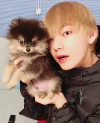 Jungkook, reckless, dangerous mob boss jungkook, crashes into taehyung's life with speed that takes his breath away and lips that kiss it right back into his lungs. I M Waiting For The Moments Of Jungkook Rm And Jin With Yeontan Army S Amino