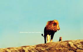 Everything The Light Touches Lion Pictures Lion Love Lion