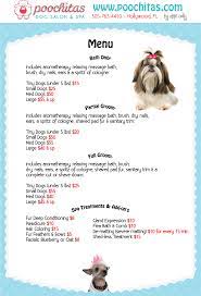 Has a trusted record of experience with over 10m pet care services across 4,600 cities and counting. Dog Grooming At Great Prices Poochitas Com Mobile Pet Grooming Pet Grooming Business Dog Grooming Shop