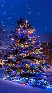 Maybe you would like to learn more about one of these? 30 Christmas Tree Gif Ideas Christmas Tree Gif Christmas Gif Christmas Tree