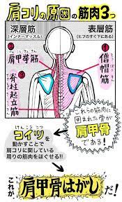たったこれだけでok 4コマ漫画で説明する 肩こり解消法 がtwitterで話題 ずぼらヨガ 健康 肩こり 解消