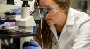 Biomedical Engineering, M.S.