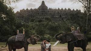 Adapun target ptsl tahun 2020 akan di programkan pada daerah kecamatan maja dan talaga mengingat masyarakat nya sangat. Ini 3 Lokasi Prewed Kahiyang Ayu Putri Jokowi Yang Bisa Jadi Referensi Liburan Akhir Tahunmu Tribun Travel