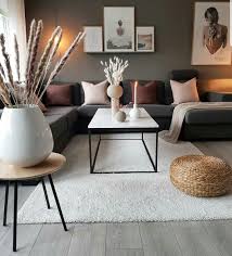 Epingle Par Harold Gabrielse Sur Plant Pampas Deco Appartement Deco Maison Decoration Salon Appartement
