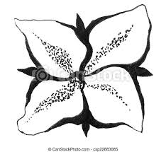 Or come talk to me in person at the following shows: Four Petal Flower Original Abstract Ink Sketch In Black And White Canstock