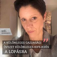 Londontól kijevig és berlintől rómáig egy olyan fiatal európai csapat tagjaként utazom az egyesült államokba, mely nemzedéknek feladata lesz egy nagy, erős és összetartó európa felépítése. Szel Bernadett Szel Bernadett Fuggetlen Orszaggyulesi Facebook