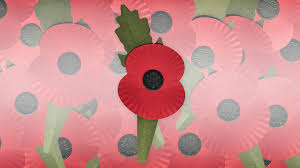 Image result for Poppy Red 1998 AAV