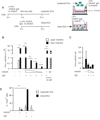 Humoral Immune Response To Adenovirus Induce Tolerogenic