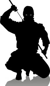 Image result for ninja