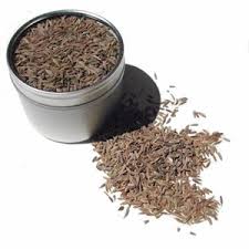 Vitamins, personal care and more. Cumin Seeds Substitutes Ingredients Equivalents Gourmetsleuth