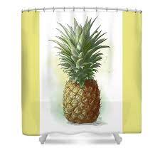 Enjoy free shipping on most stuff, even big stuff. Pineapple Shower Curtain For Sale By Clint Hansen