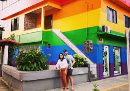 Doble costura con hilo especial para exteriores. En Apoyo A Su Hijo Madre Pinta Su Casa Como Bandera Lgbt Mundo