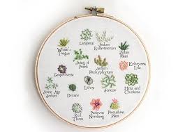 There's a good mix of simple and more elaborate designs, but. Tiny Succulents Hand Embroidery Pattern Pdf Download Etsy Embroidery Patterns Hand Embroidery Hand Embroidery Pattern