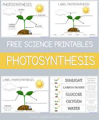 Photosynthesis Printables For Kids Free Science Printables Science Printables Photosynthesis