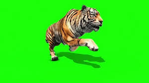 Each year, international film schools throw up fresh 3d talent, and every the animated shorts they produce for graduation get more and more impressive. Shutterstock