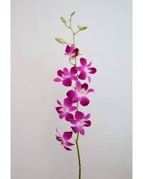 Must, have a state sales tax license. Associated Wholesale Florist Denver Co Wholesale Flowers