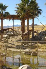 Living Deserts Zoo Gardens Zoo Trip Palm Desert