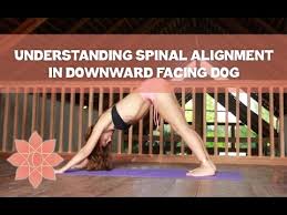 Understanding Spinal Alignment In Downward Facing Dog Youtube