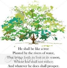 2 To The 1 To The 1 To The 3 I Like Good Trees This Could Be So Cool Trees To Plant Bible Psalms Psalm 1