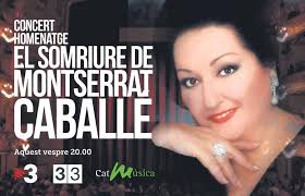 Julian Assange, detingut