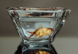 Update information for sung kim ». Young Sung Kim Saatchi Art