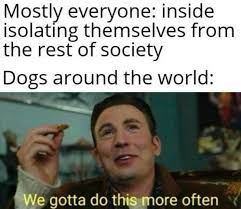 You wanna travel so bad. These Lockdown And Social Distancing Memes From Around The World Are Simply Gold