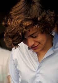 Prince Harry S Curly Hair Haha They Have The Same Name Harry Styles Harrystylesimagines Fetus Harry Styles Harry Styles Harry Styles 2012