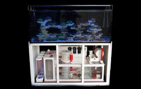 I thought it was finally time to start a thread. Meerwasseraquarium Komplettset Meerwasser Shop