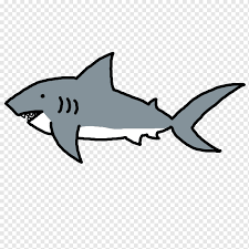 Tiene una coloración marrón grisácea por la parte todos los tiburones tienen diversas hileras de dientes, el tiburón toro tiene 3 hileras en cada. Gran Tiburon Blanco Tiburon Toro Contenido Tiburon S Mamifero Marino Fauna Dibujos Animados Png Pngwing