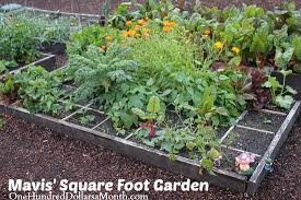 Square foot gardening 9 pro tips bob vila. Mavis Square Foot Gardening Update One Hundred Dollars A Month