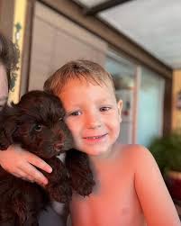 Miniature Schnauzers of Cape Coral, Florida