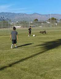 Pin By Luis Toons Godinez On My Pride N Joy 2 Cute Boys Soccer Field Cute Boys Soccer